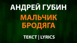 Андрей Губин - Мальчик бродяга (Текст Lyrics)