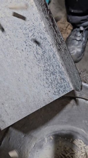 Работа на мини пресс-грануляторе "ZLSP". Гранулирование горохового крахмала.