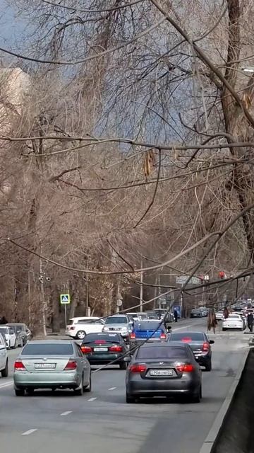 Утро Алматы. 06.02.2026