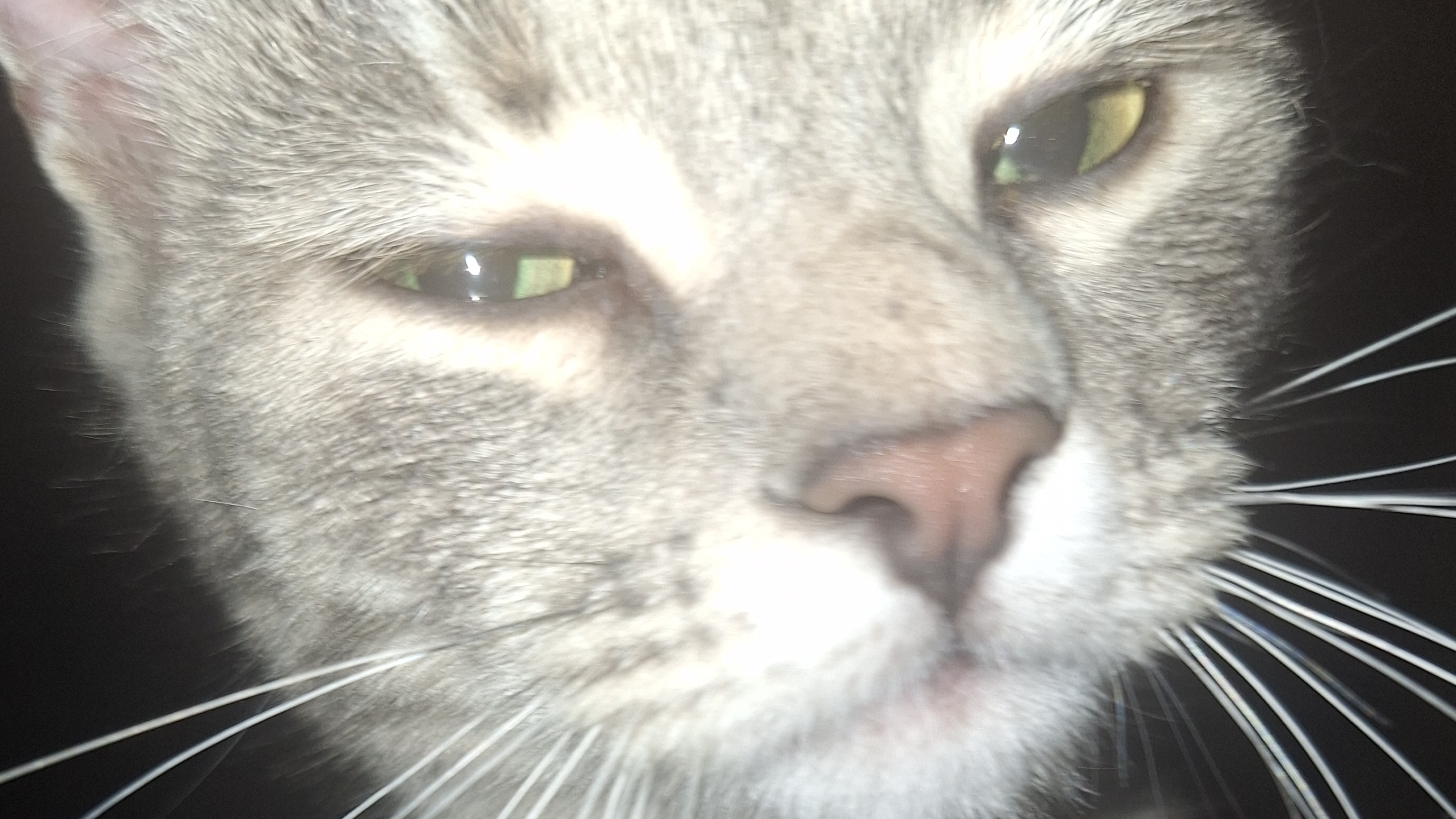 СП Добиваю недовязы 5/2026 Отчёт 6 с Мариной Стоговой смотреть онлайн