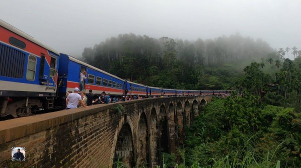 Девятиарочный мост, встречаем поезд, пиявки! Шри-Ланка, Январь 2025 #шриланка2025 #девятиарочныймост