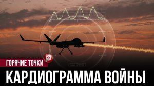 Кошки против крыс, паяльник против миллиардов: анатомия современной войны