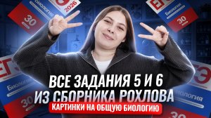 ВСЕ задания 5 и 6 из сборника Рохлова | Разбираем картинки на общую биологию | Биология ЕГЭ