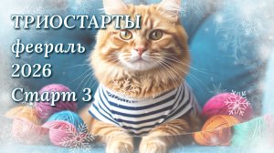 Старт 3 в СП Триостарты февраля. Носки для настоящего капитана. Вязание крючком для мужчин