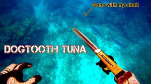 Подводная охота / Меня победил синий тунец