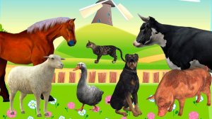 Учим Домашних Животных 🐖 Развивающие Мультики для Детей 🐎