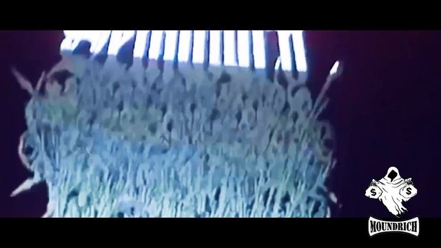 SEMATARY - HONDA CIVIC [OFFICIAL VIDEO] смотреть онлайн