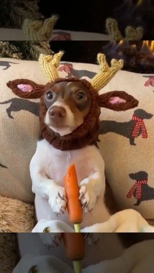 Доброе утро 😂