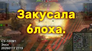 Закусала блоха. СУ-100М1. Энск. 20260111 2119.