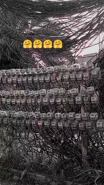 Страшный сон электрика 🤣 смотреть онлайн