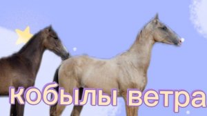 3 серия совместного сериала