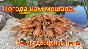 НочнаЯ поимка РакоВ. Испытание палки-раколовки прошло удачно👍