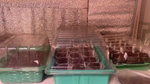 Дома меня не было 6 дней 🙈, сею семена цветов на рассаду. Покупки для посевного сезона.