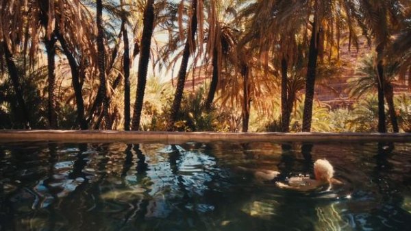 traveller, not a tourist