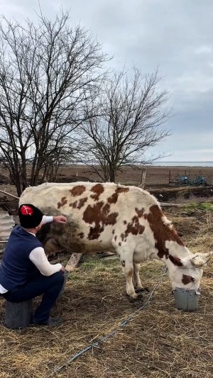 Дом в станице! Большой земельный участок, саманный дом, все коммуникации, 500 метров до моря.