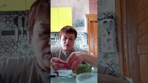 06-02-2026 Деревенские будни