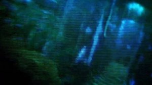 SEMATARY - FRIGHT NITE [OFFICIAL VIDEO]