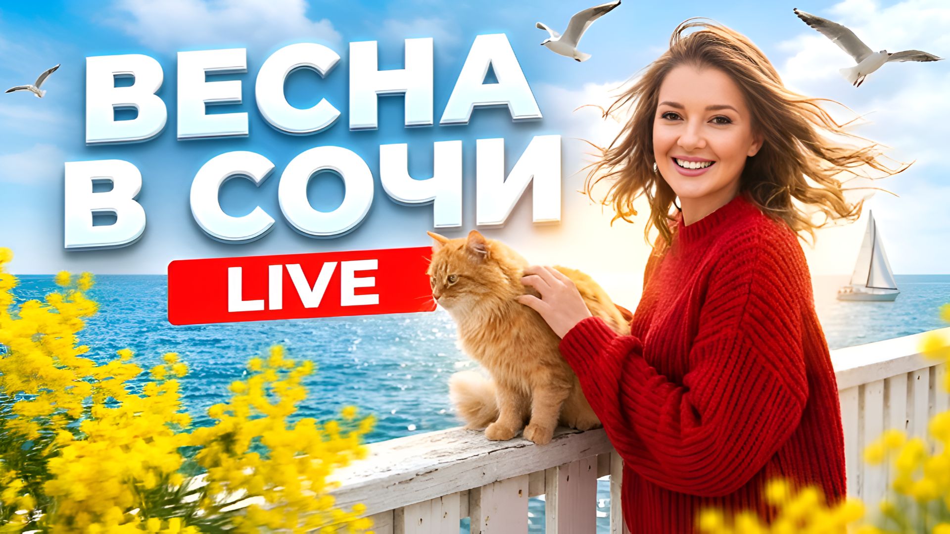 В СОЧИ пришла весна! Прямой эфир!#сочи #всеосочи смотреть онлайн