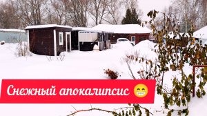 ❄️Снежный апокалипсис. 🏡Деревенская жизнь. 💐Обзор семян цветов