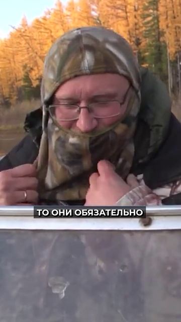 🤔 Какие снасти для рыбалки разрешены в России смотреть онлайн