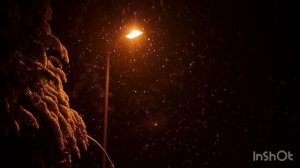 Память о первой любви