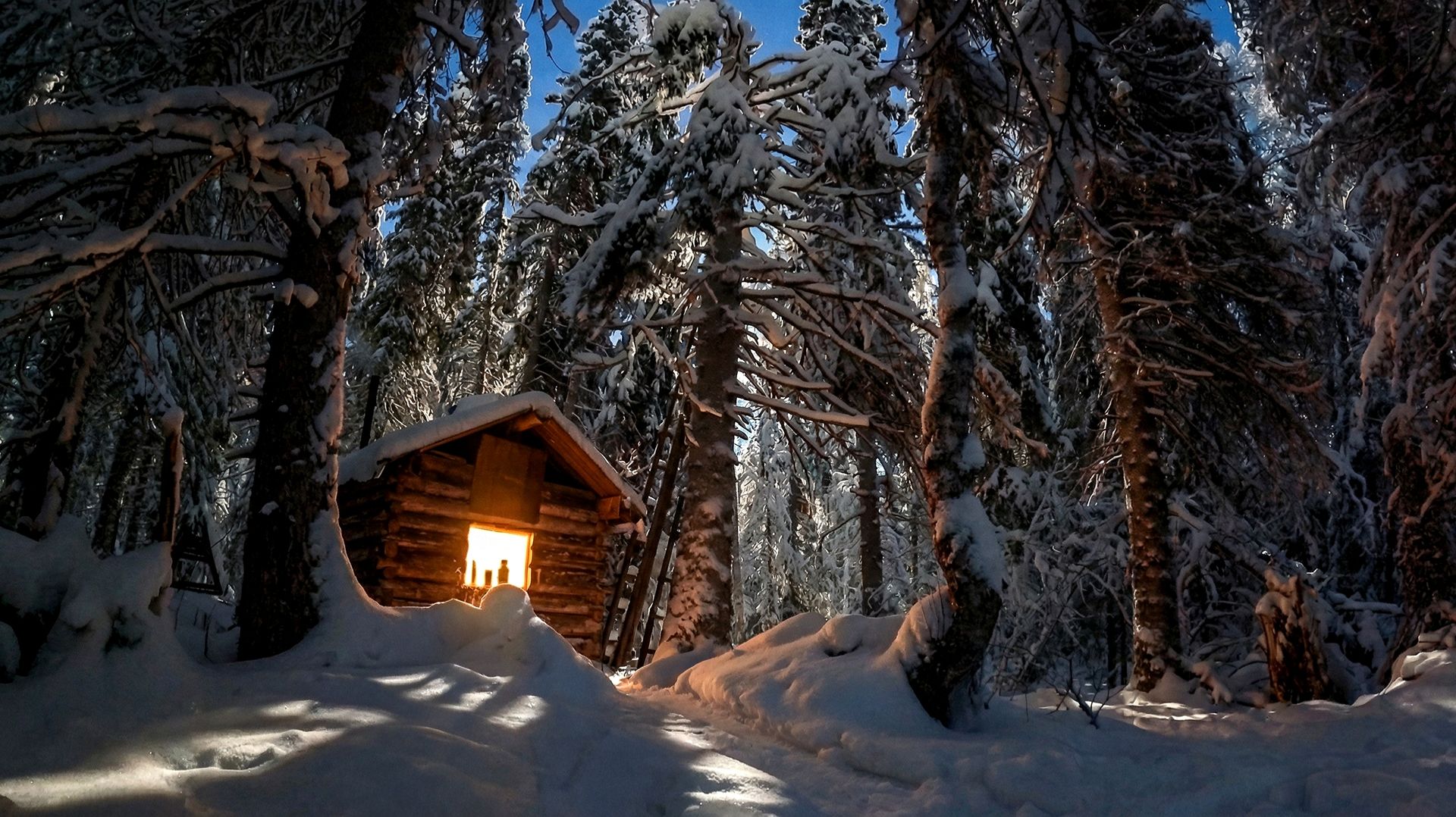 ИЗБА СОГРЕЛА В СИЛЬНЫЙ МОРОЗ. ОХОТА НА БОРОВУЮ ДИЧЬ. смотреть онлайн