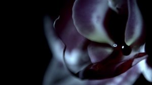 Страшные сказки -2014