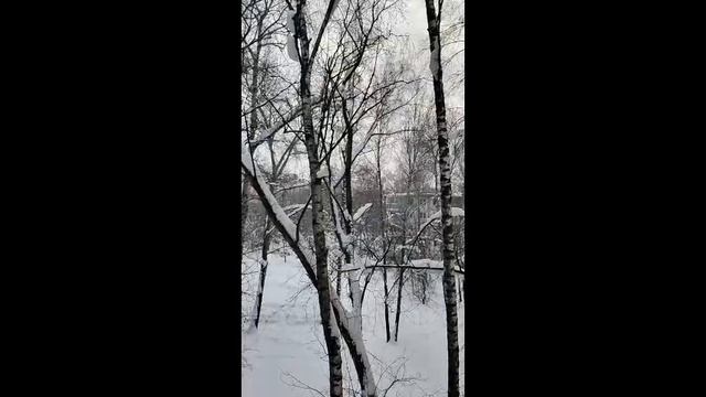 Мой вопрос к вам и расскажу немного о планах на сегодня и на завтра, про рутуб и темы публикаций смотреть онлайн