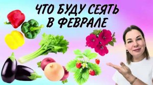 ЧТО ПОСЕЯТЬ В ФЕВРАЛЕ? МОИ ПОСЕВЫ В ЭТОМ СЕЗОНЕ.