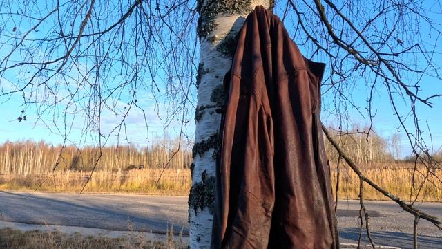 Куртка на дереве смотреть онлайн