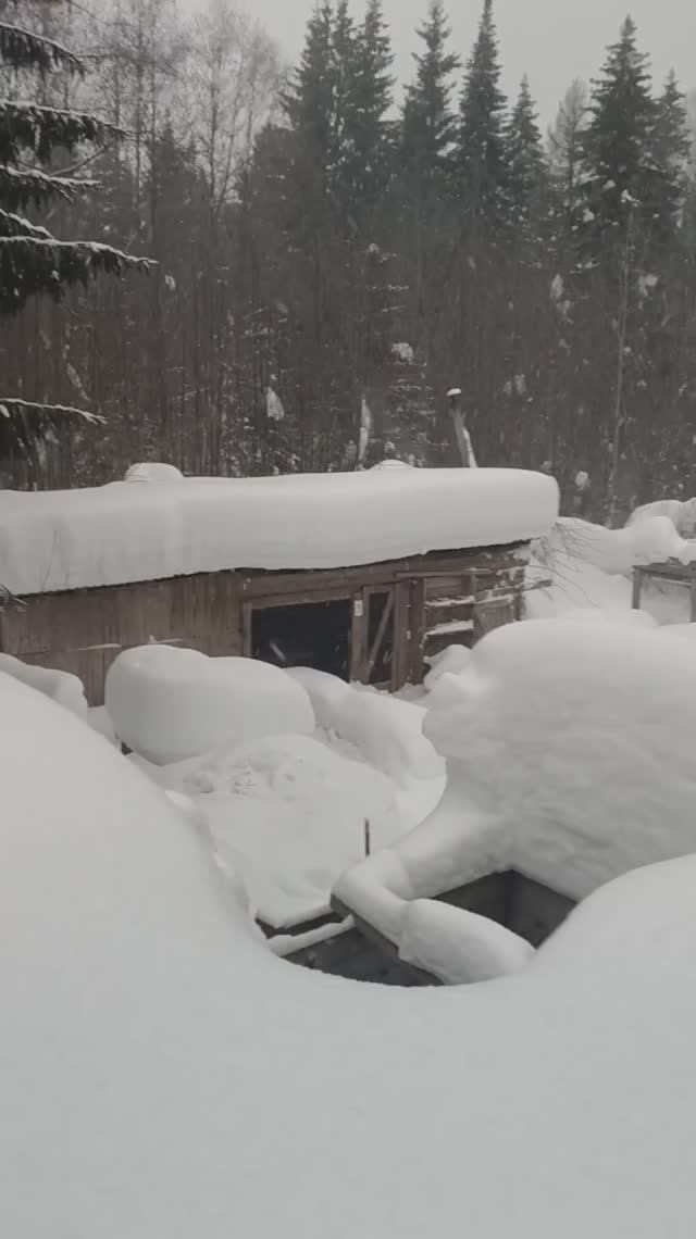 Завалило снегом!