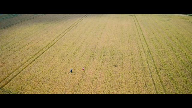 Наташа НедоСтюардесса _ Русский трейлер _ Фильм 2025 смотреть онлайн