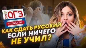 Как выучить русский за месяц до ОГЭ? Как подготовиться к ОГЭ по русскому языку за 1 МЕСЯЦ?