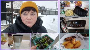 Рёбра в аэрогриле.Эустома.Поломка