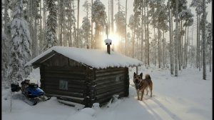 ЖЕРЛИЦЫ ПРИНОСЯТ ТРОФЕИ. РЫБАЛКА НА СЕВЕРЕ. ТАЁЖНАЯ ИЗБУШКА ПРИЮТИЛА РЫБАКОВ. ХОТ-ДОГ ДЛЯ СОБАКИ