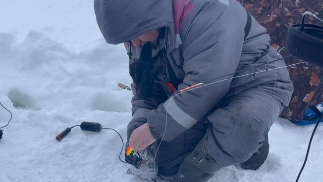 copy_F583210A-7429-4526-BF2F-E2F586684224 смотреть онлайн