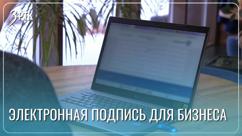 Электронный документ выбирают 25 тысяч ЮЛ и ИП в Забайкалье смотреть онлайн