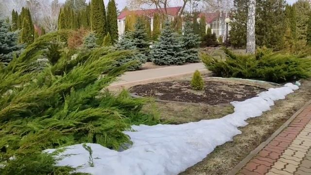 Прибыли в санаторий Красиво 18.03.24. смотреть онлайн