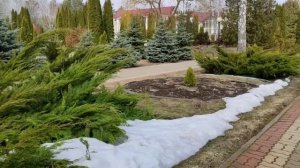 Прибыли в санаторий Красиво 18.03.24.