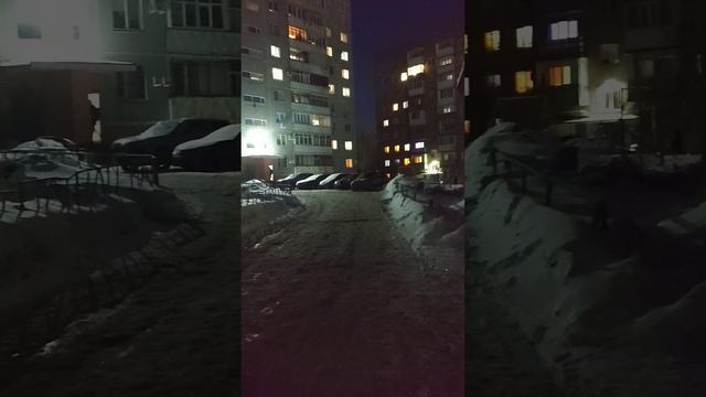 В такую погоду можно отморозить нос! Гуляем не более 10 минут. Выгул кокер спаниеля в центре города. смотреть онлайн