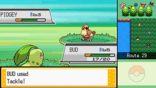 NDS - Pokemon HeartGold Soulsilver