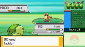 NDS - Pokemon HeartGold Soulsilver