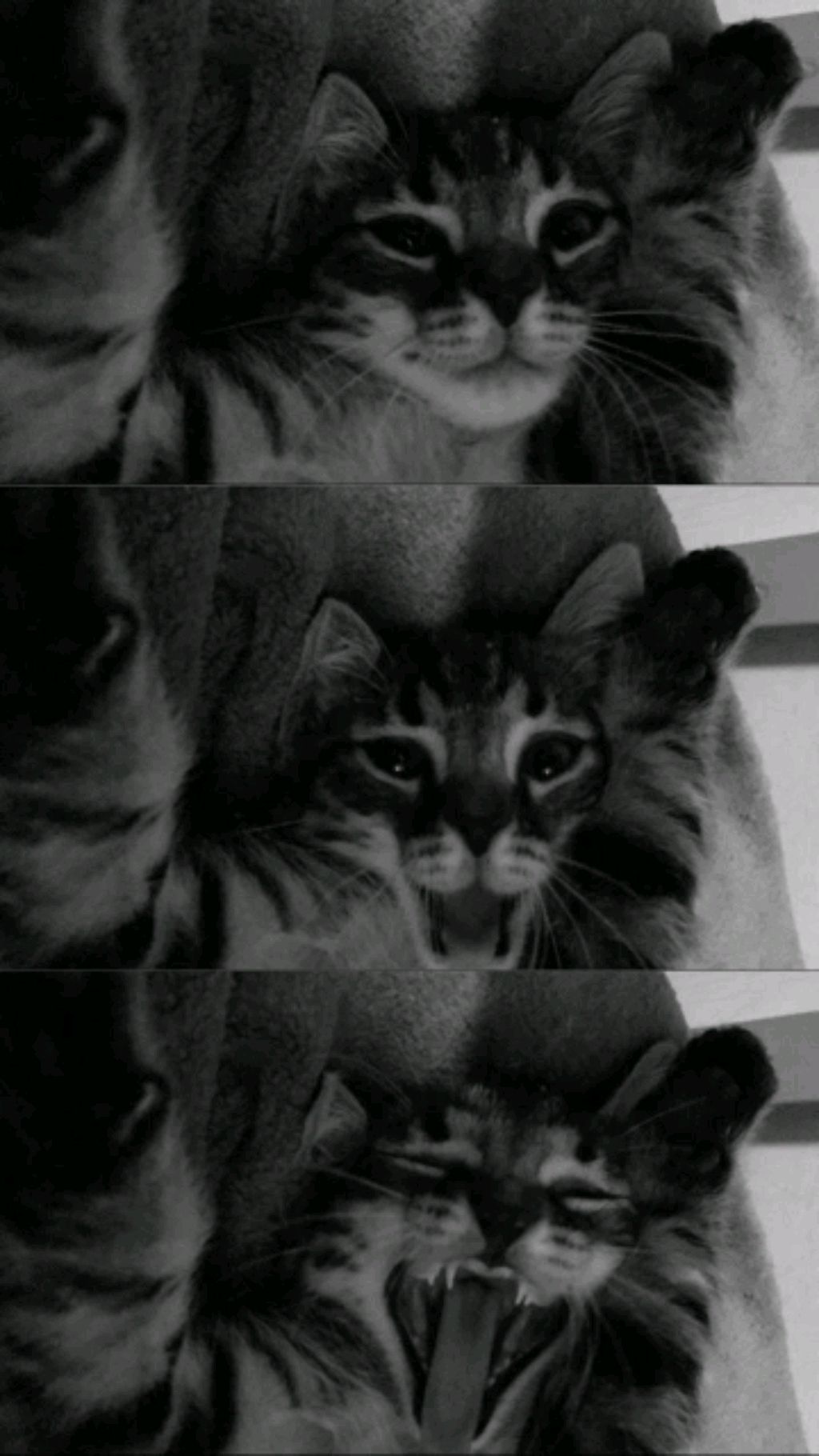 Ы смотреть онлайн