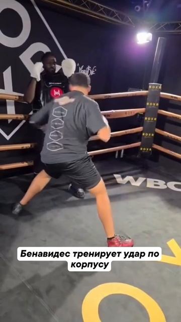 Самый жесткий удар в боксе смотреть онлайн
