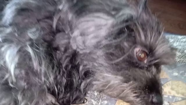 БЫВАЕТ,ЧТО Я ЧУВСТВУЮ... смотреть онлайн