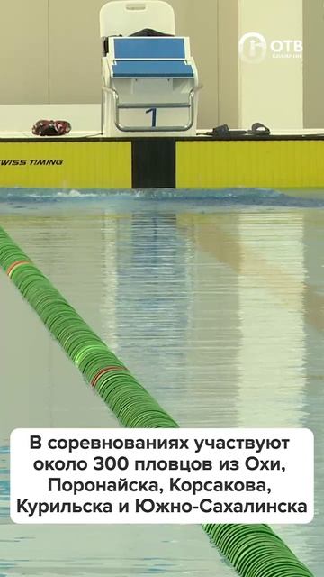 На Сахалине стартовал региональный чемпионат по плаванию смотреть онлайн