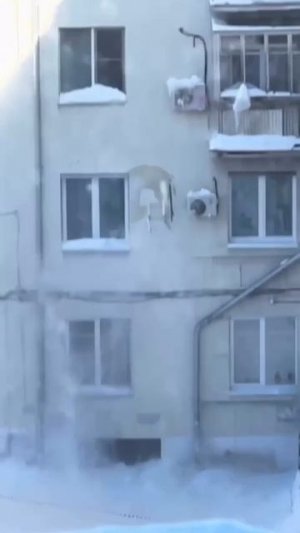 Почистил крышу от льда