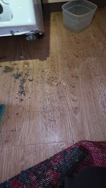 Стиральная машинка Samsung выдавала ошибку sud. ремонт стиралок в Махачкале. заявку можно оставить н смотреть онлайн