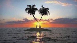 Пикник - Остров