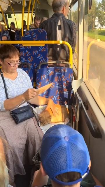 все для верховного